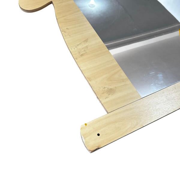 gato espelho reggio emilia 3-Photoroom2025